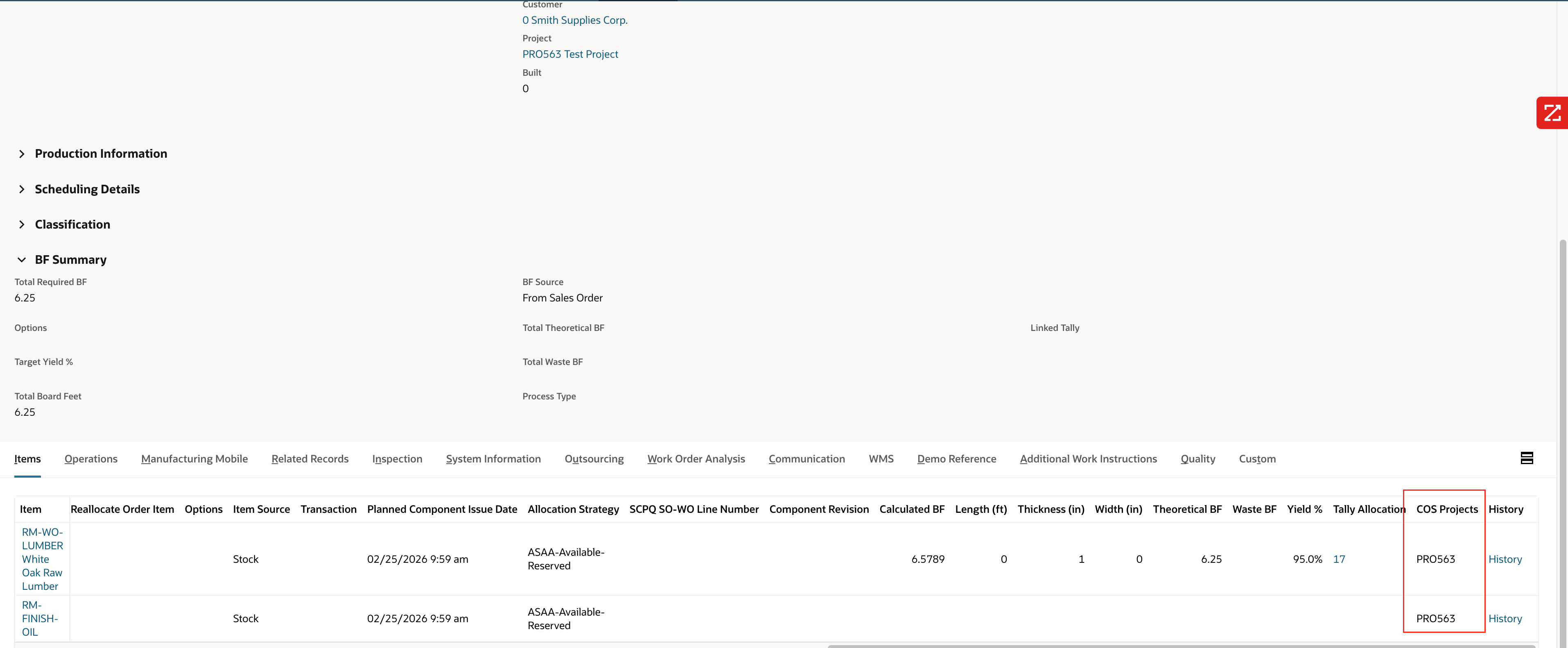 Auto project segmentation on Work Order items